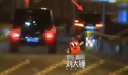 大锤爆料最新视频大全集,揭秘幕后故事，带你领略精彩瞬间